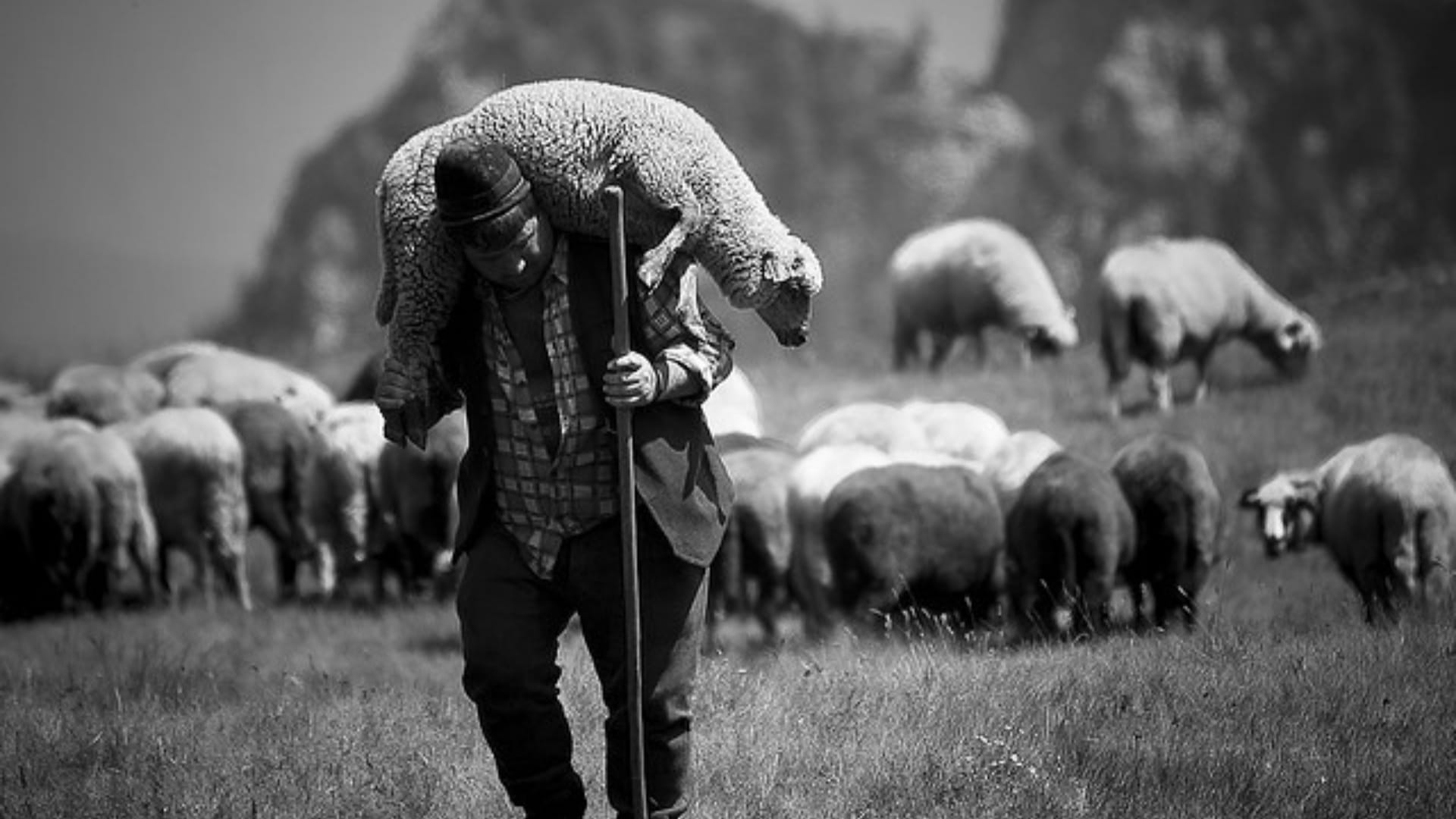 Gudstjänst. Tema | Den gode herden