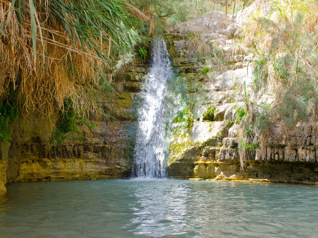 Gudstjänst | Livets källa